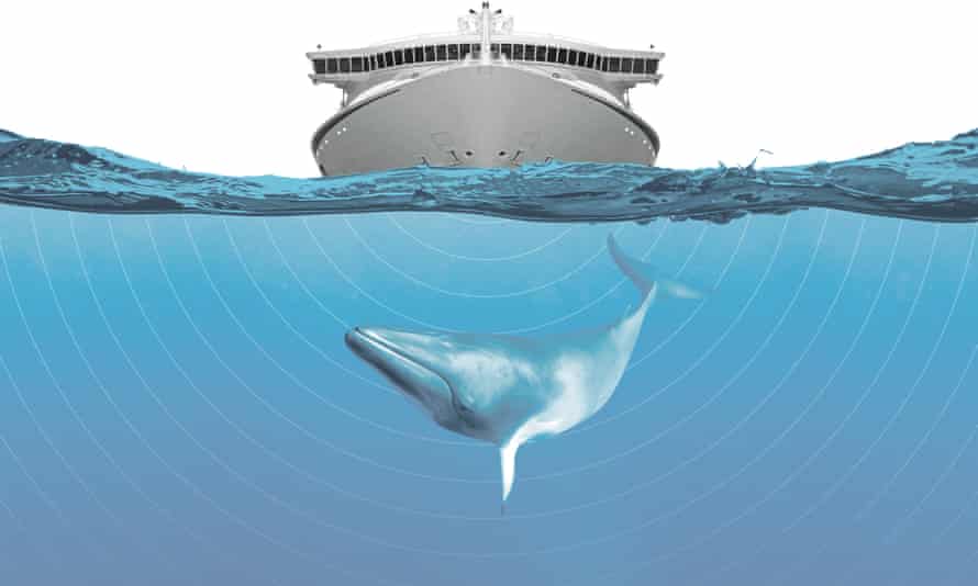 Ocean noise pollution illustration