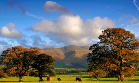 Stunning view over Bassenthwaite Common in the Lake District, Cumbria.