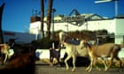 Ibiza: The Silent Movie review - bacchanalia ancient and modern
