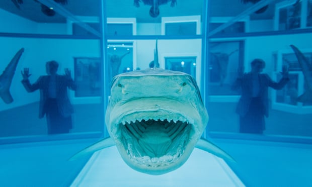 ‘Fourteen years is a long time for a dead shark’ … Death Denied, 2008, on display in Damien Hirst: Natural History.