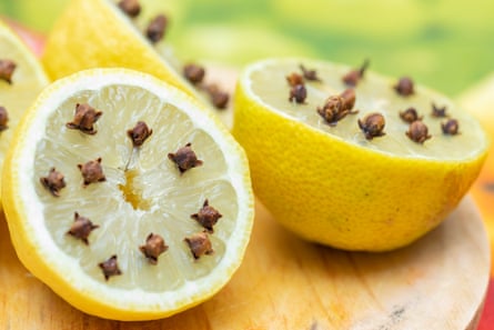 ‘If they get a whiff, they’ll be off’ … use lemons and cloves as insect repellent.