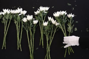 white-gloved hand holds bunch of white flowers