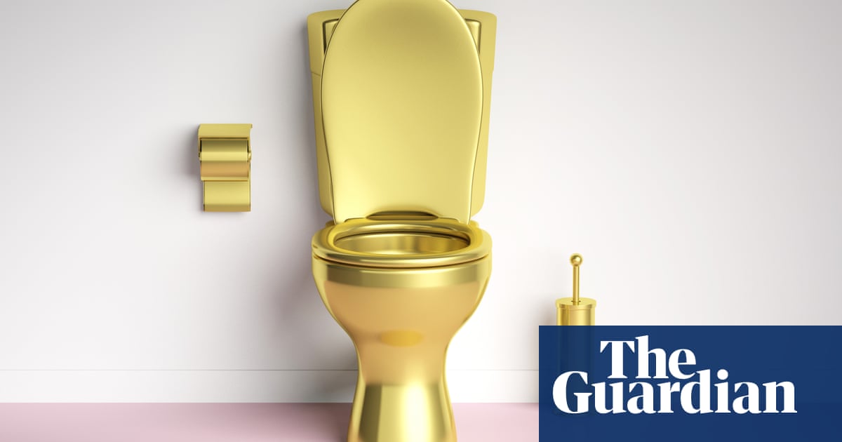 Super poo: the emerging science of stool transplants and designer gut bacteria | Health | The Guardian