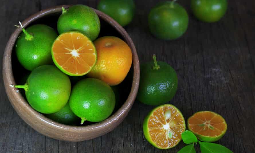 2021’s ingredient of the yr: 19 Australian meals lovers share their favourites | Australian food and drinks 78 Calamansi limes