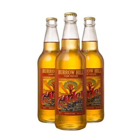 Burrow Hill sparkling cider