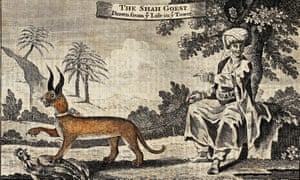 Animal travellers: a history of exotic animals in the UK – in pictures |  Books | The Guardian