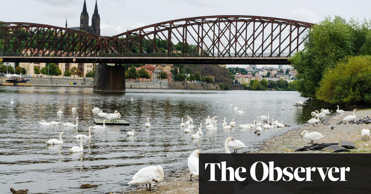 Like knocking down the Eiffel tower: battle to save historic Prague bridge