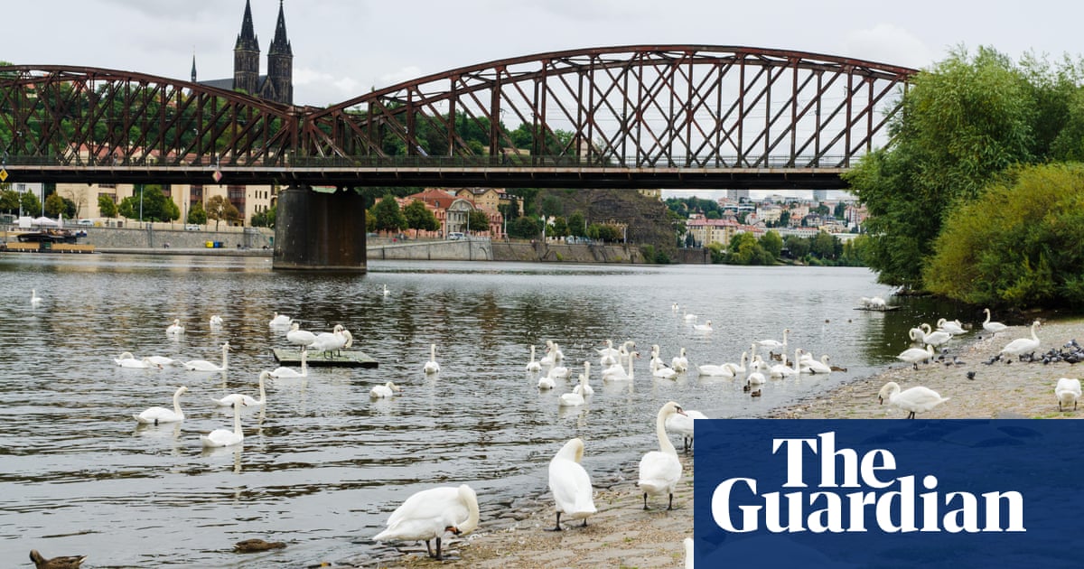 ‘Like knocking down the Eiffel tower’: battle to save historic Prague bridge