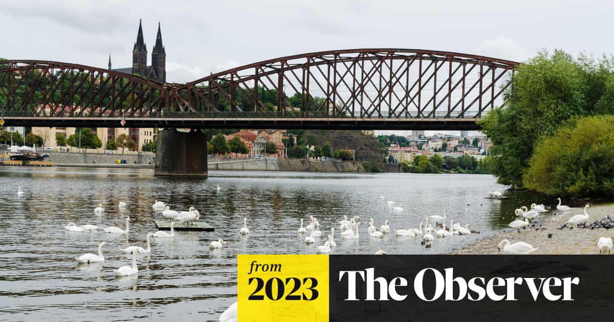 www.theguardian.com