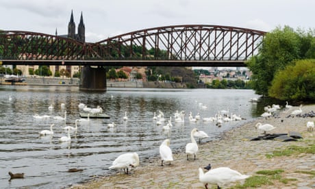 ‘Like knocking down the Eiffel tower’: battle to save historic Prague bridge