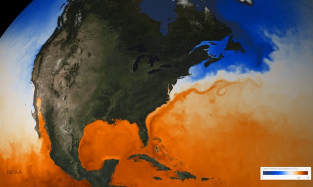 De Golfstroom is te zien op de kaart met de oppervlaktetemperatuur van de zee