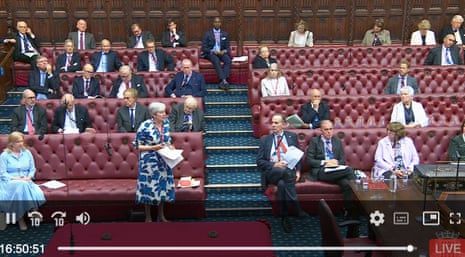 Theresa May speaking in Lords today.