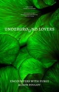 Cover of the book Underground Lovers by Alison Pouliot