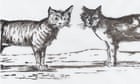 'Your cat is watching you!' The fearless felines hidden by their author