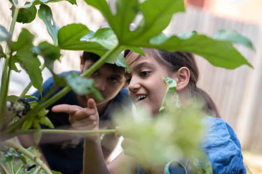 How to give your kids more freedom: seven days in the life of a nine-year-old exploring independence 1 Amber explores the garden.