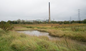 Swanscombe Peninsula, the British home of Attulus distinguendus.