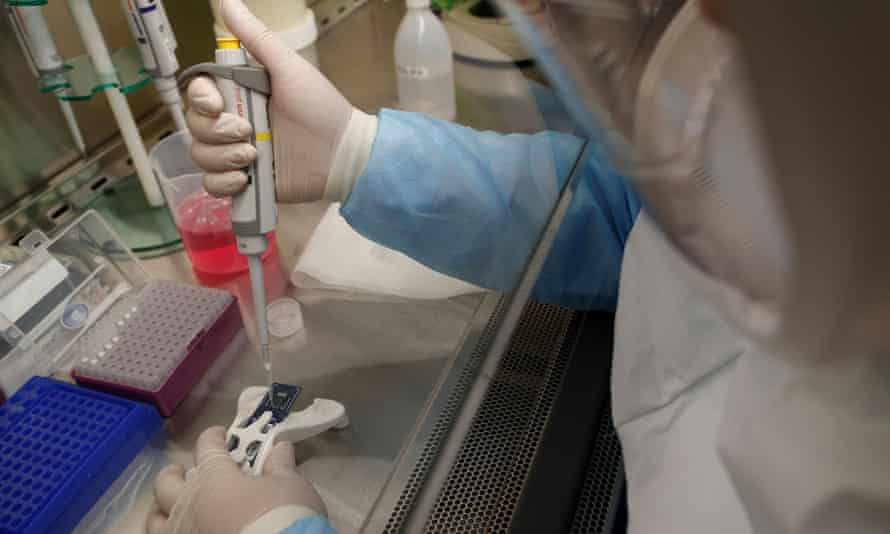 Coronavirus testing in a laboratory in Singapore.