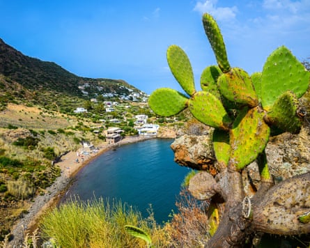 Prickly pear in foreground, beach and mountainside in background