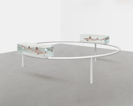 Harmless … Damien Hirst, Two Similar Swimming Forms in Endless Motion (Broken), 1993.