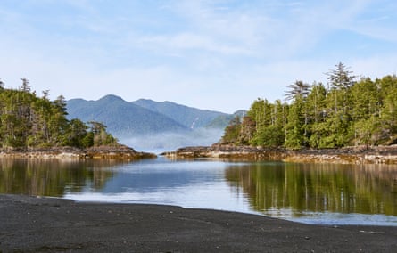 Haida Gwaii’s wild coastlines and old-growth forests are home to a wealth of flora and fauna.