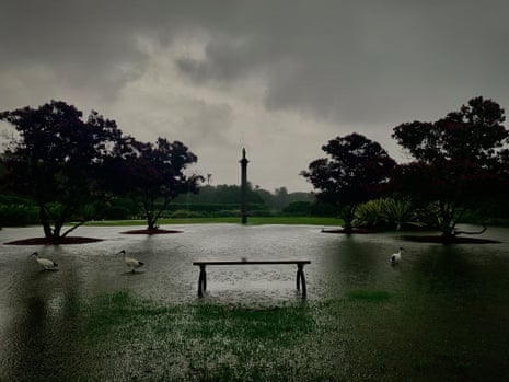 Centennial Park lawns flooded.
