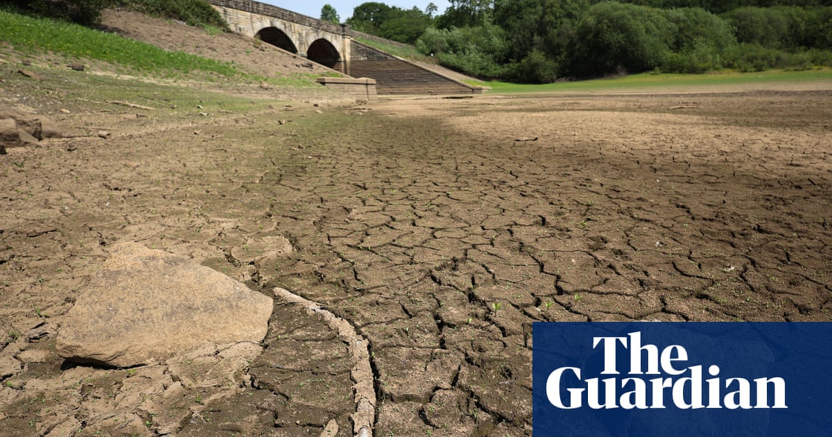 Four areas of England now in drought as heat threatens wildlife and crops