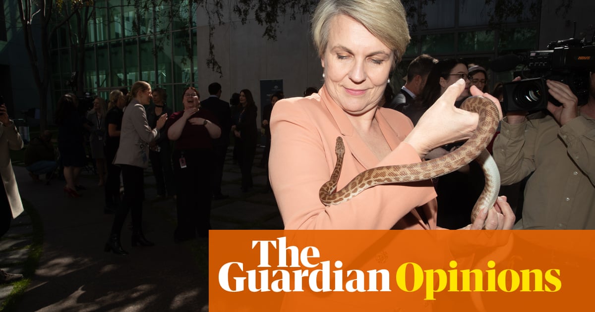 Labor's sad capitulation on the environment has shaken even true believers like me | Felicity Wade
