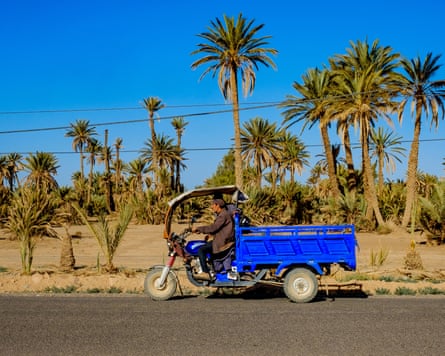 A palm grove near Skoura.