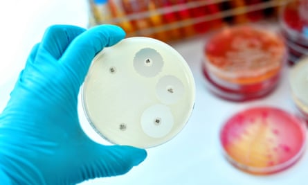 определение чувствительности к антибиотикам в лаборатории