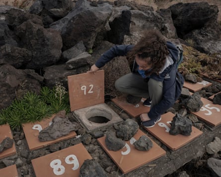 A woman lifts a numbered tile covering an artificial nest hole among rocks