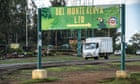 Kenyan Del Monte farm seeks human rights manager after claims of violence