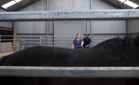 The pair work with Treble Clef in the ring