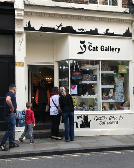 ‘Sells toys and bowls, feeding mats, collars and calming sprays’: The Cat Gallery, York.