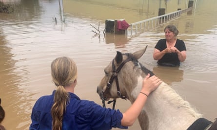 13 year old Ella Saul has braved the floodwaters on horse back to help save her family’s cows. 85 of Gavin Saul’s cattle were swept away in Kempsey, NSW.