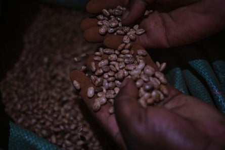 Hands lifting beans our of a sack.