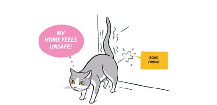 Extracted from KITTY LANGUAGE by Lili Chin