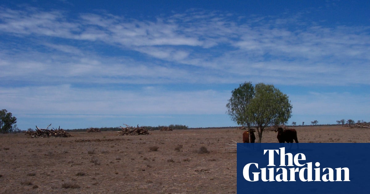 Scorched Country The Destruction Of Australia S Native Landscape Scorched Country The Destruction Of Australia S Native Landscape
