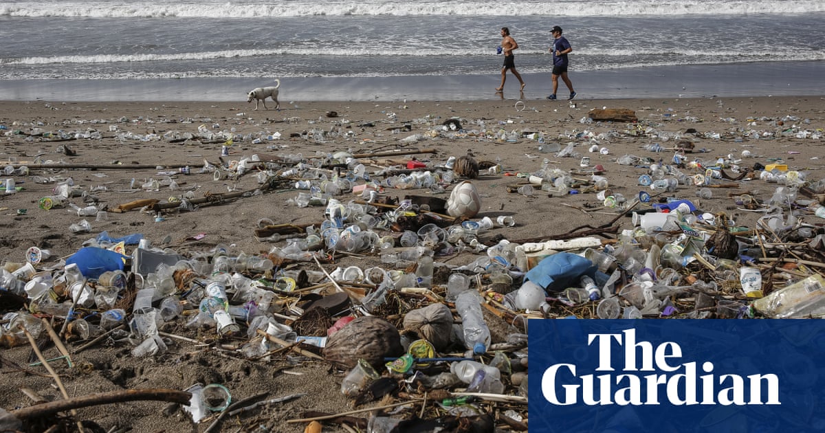 Bugs across globe are evolving to eat plastic, study finds