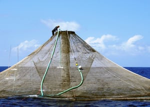 Aquaculture