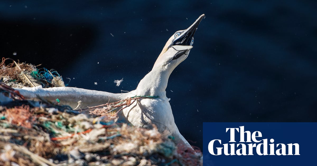 Water and the Future of life on Earth