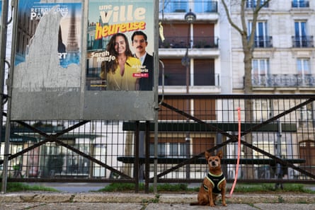 A dog waits outside a polling station for his owner during the first round of the French mayoral election, in Paris