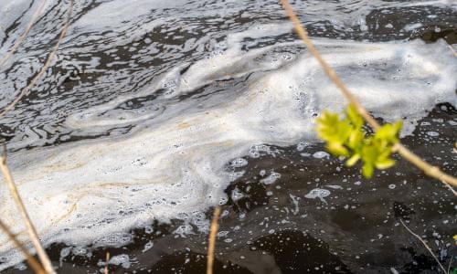 One of UK's biggest dairy firms fined £1.5m for polluting Cornwall river | Pollution | The Guardian