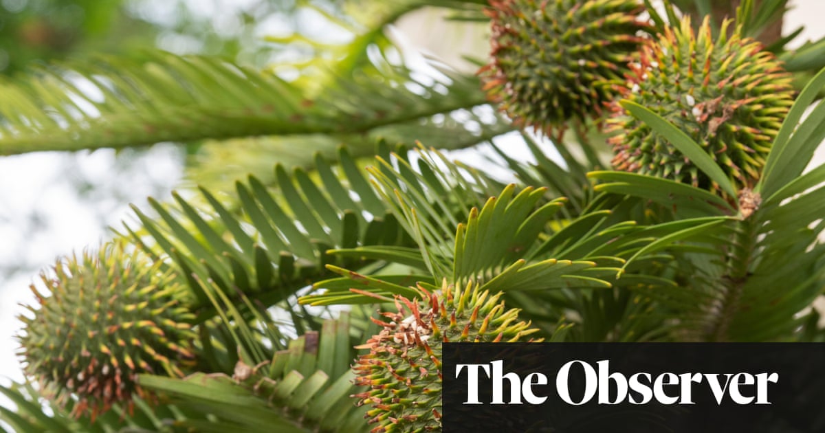 For A Piece Of Jurassic Park In Your Lifetime Life And Style