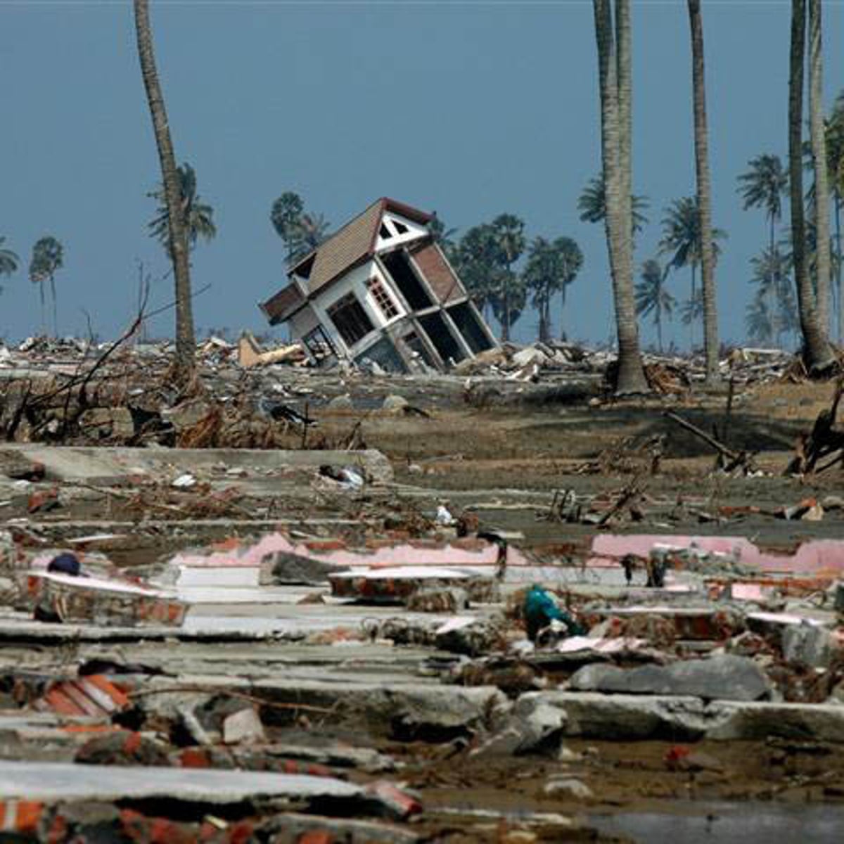 Tsunami Review A Shamefully Sensationalised Look At Horror Television The Guardian