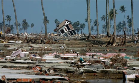 Palm trees and flattened buildings after the 2004 Boxing Day tsunami