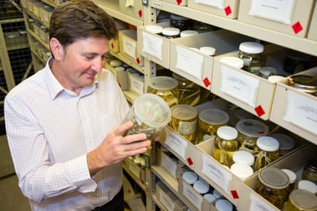 Dr Tim O’Hara holding a specimen jar containing brittle stars.