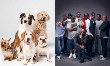 Dog fight … US rap group Wu-Tang Clan are in a trademark fight with a New York dog-walking company.