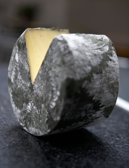 Nettle cheese … Cornish Yarg.