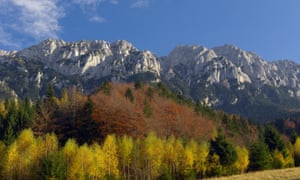 Frights And Sights In Transylvania Exploring Haunted Hoia Baciu Romania Holidays The Guardian Frights And Sights In Transylvania Exploring Haunted Hoia Baciu Romania Holidays The Guardian