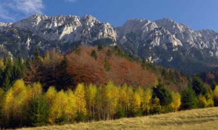 Tour operator Undiscovered Mountains is planting trees in the Southern Carpathian region through its offsetting initiative.
